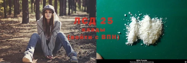дживик Алексин